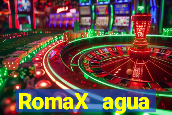 RomaX agua sanitaria fispq agua sanitaria romax